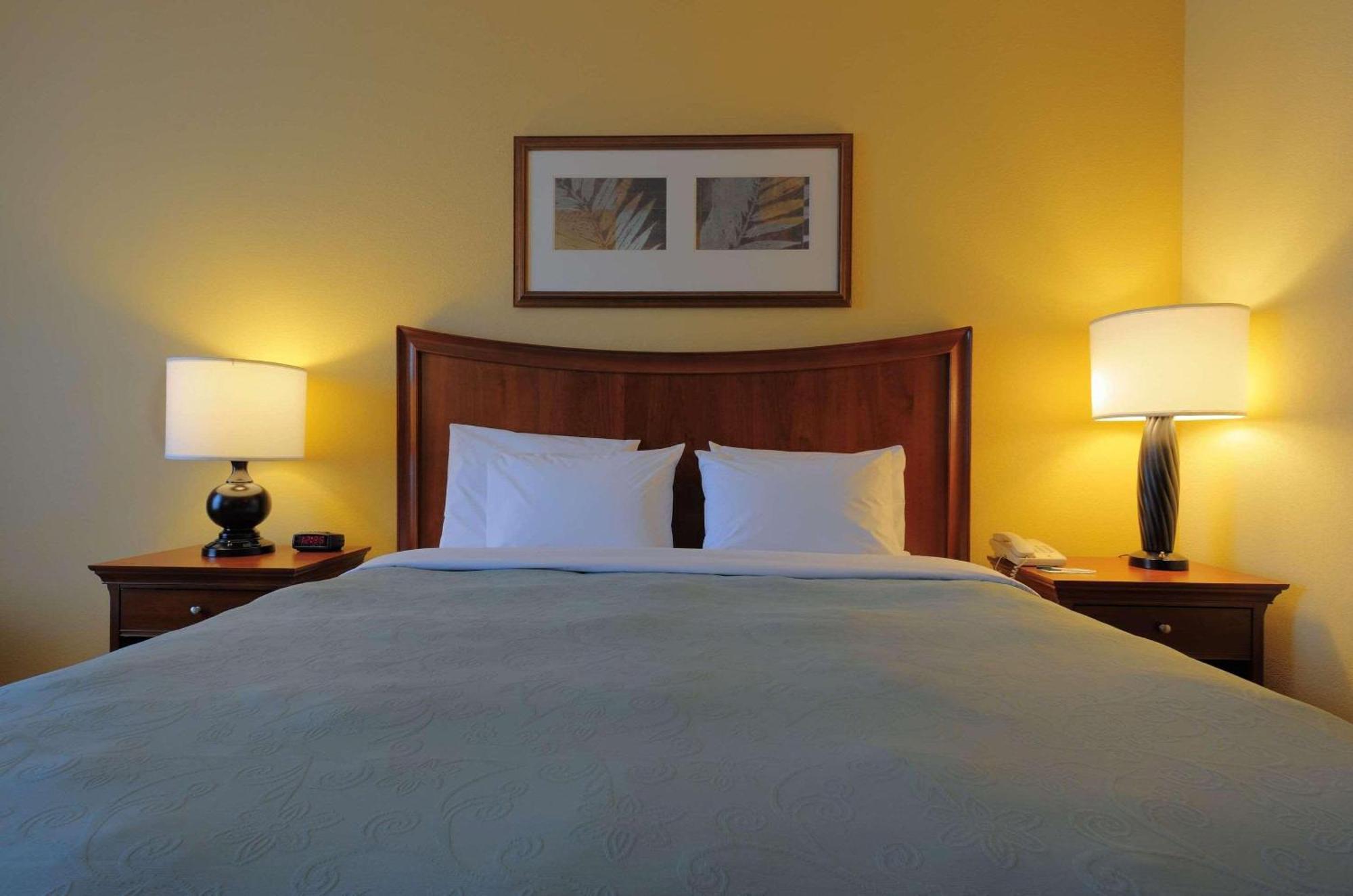Spark By Hilton Orangeburg Phòng bức ảnh